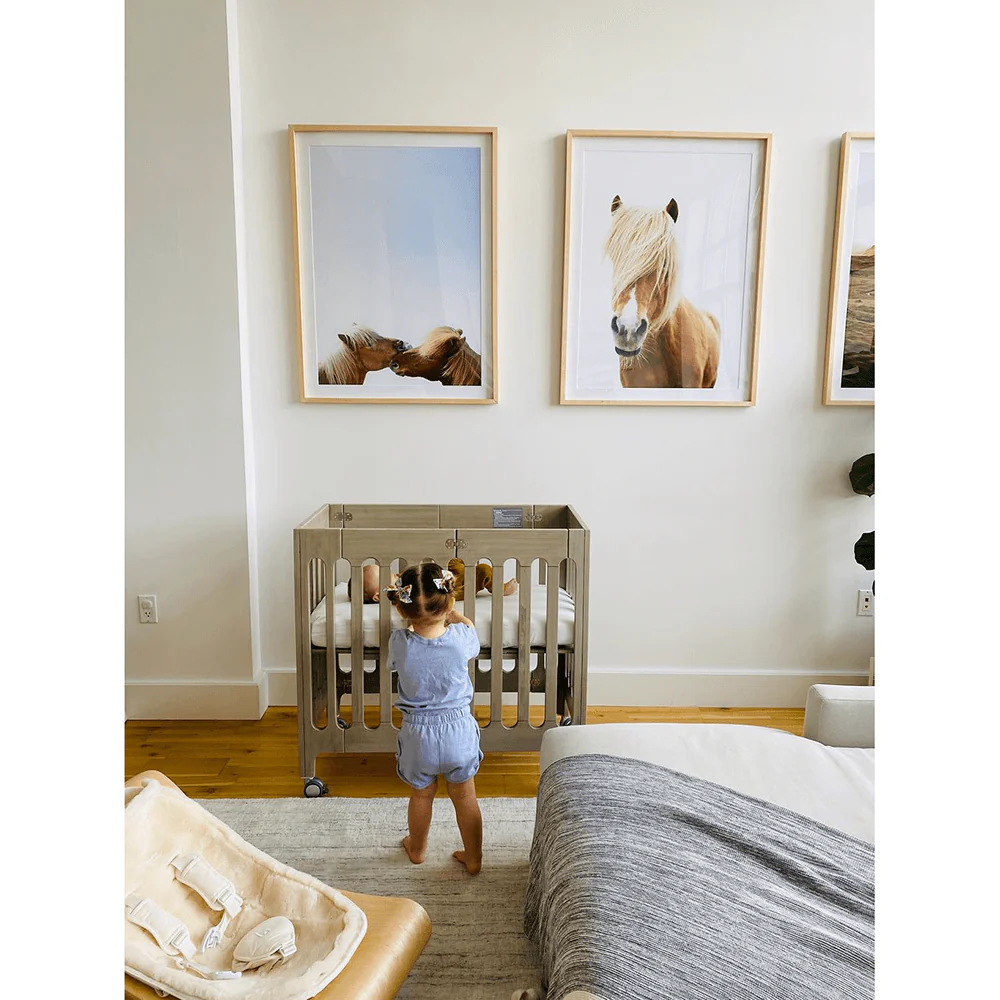 alma mini crib + mattress (May '26) - Image 65